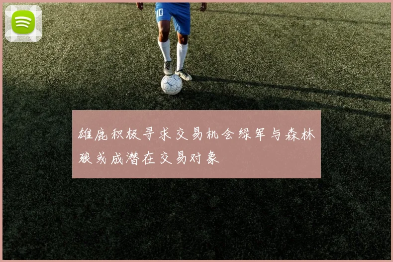 雄鹿积极寻求交易机会绿军与森林狼或成潜在交易对象